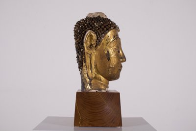 Grande testa di Buddha in stucco, Regno di Ayutthaya