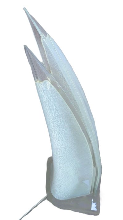 Lampe de la maison Roger Rougier