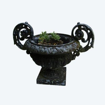 Old basin