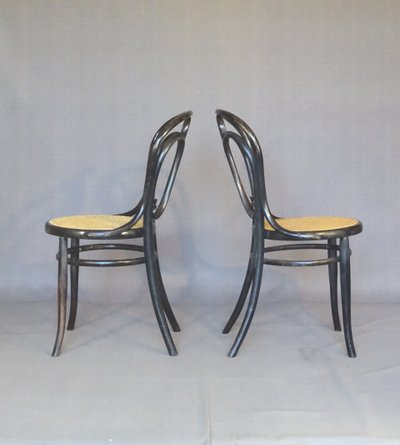 Deux chaises KOHN N°35, vers 1875 cannage neuf manuel- no Thonet