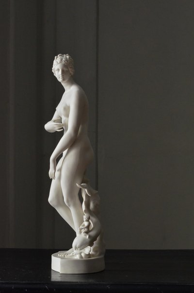 Venus modest