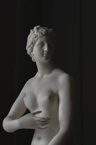 Venus modest