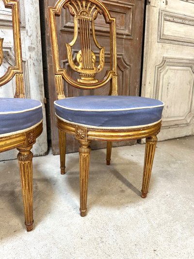 Pair of Louis XVI style chairs in gilded wood