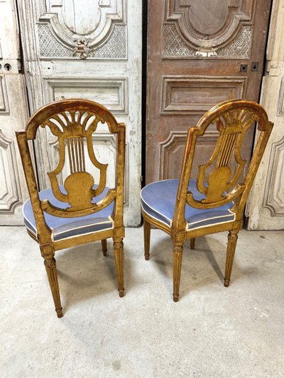 Pair of Louis XVI style chairs in gilded wood