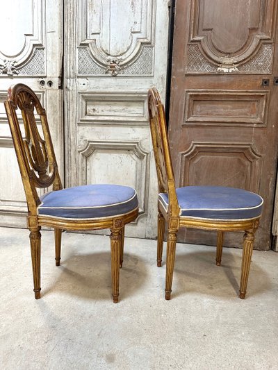 Pair of Louis XVI style chairs in gilded wood