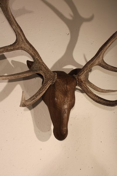  Tête de cerf en bois