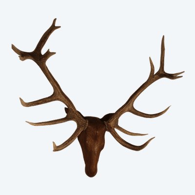  Tête de cerf en bois