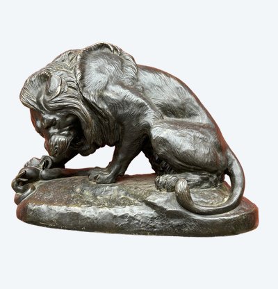 Importante bronzo Lion Au Serpent Ou Lion Des Tuileries di Antoine Louis Barye Fine XIX secolo