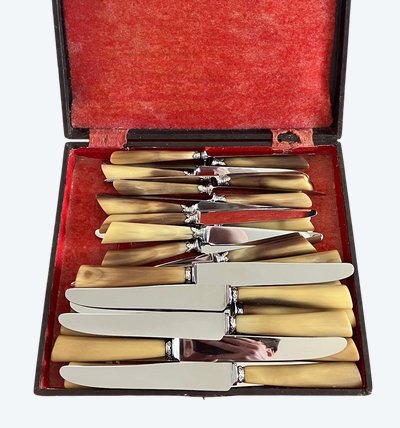 Bellissimo e raro set di coltelli in corno marrone del periodo Napoleone III