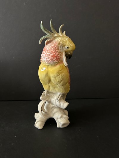 Karl Ens - Cockatoo - Porcelain