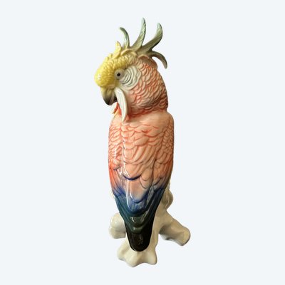 Karl Ens - Cockatoo - Porcelain