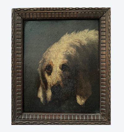 Portrait de chien