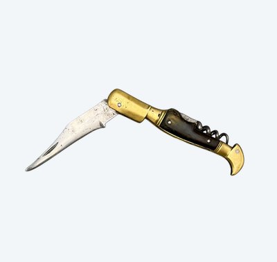 COLTELLO PIEGHEVOLE A DUE PEZZI - Italia - XIX secolo