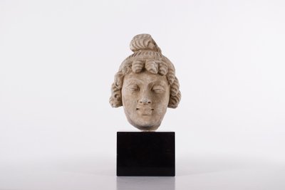 Tête de Bodhisattva en stuc du Gandhara