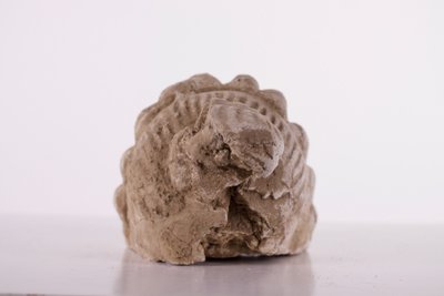 Tête de Bodhisattva en stuc du Gandhara