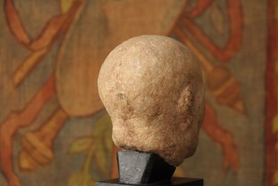 Testa maschile in marmo stile antico, XIX secolo
