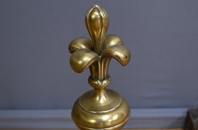 Pair of Gilded Bronze Chenets - 1st part 19th century