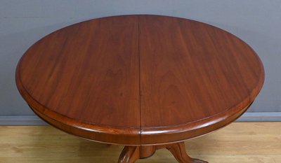 Mahogany Pedestal table with leaves - 2nd part XIXth century