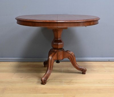 Mahogany Pedestal table with leaves - 2nd part XIXth century