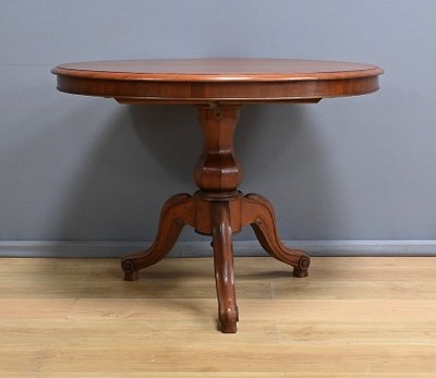 Mahogany Pedestal table with leaves - 2nd part XIXth century