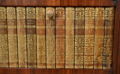 Meuble Vitrine en Marqueterie, style Louis XVI – 2ème partie XIXe