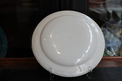 Cheetah hunting plate