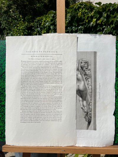  Vellum engraving, Ancient Hermaphrodite, Galleria di Firenze