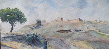 Anonimo. FEZ (Marocco) la collina delle Merinidi.