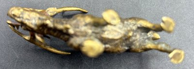 CERVO DI BRONZO VIENNE