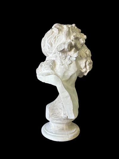 Busto in gesso di Laocoonte da antichi Musei Nazionali Cast Late 19th Century H 66 Cm