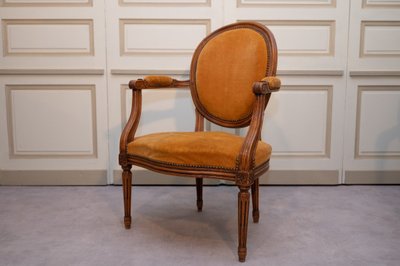 Paire De Fauteuils Cabriolets à Médaillons De Style Louis XVI