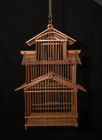 Cage à Oiseaux Indochinoise