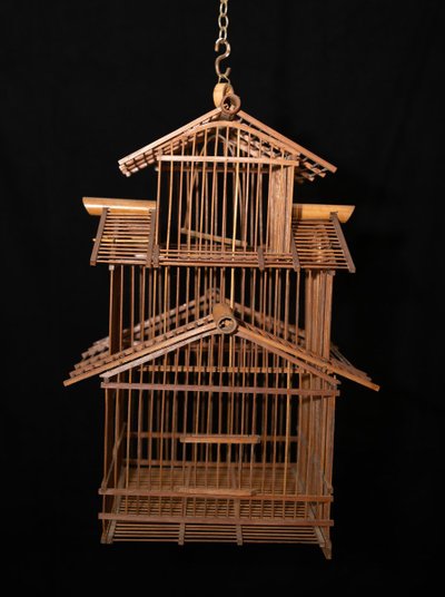Cage à Oiseaux Indochinoise