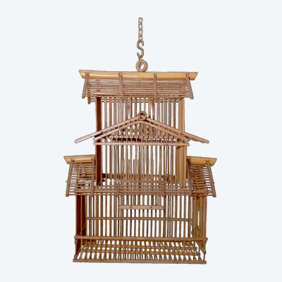 Cage à Oiseaux Indochinoise