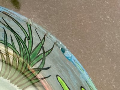 Magnifica ciotola per ninfee di Legras