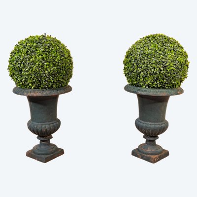 Pair Of Medici Vases