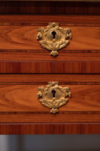 Scrivania in palissandro stile Luigi XVI. Casa Dissidi Parigi