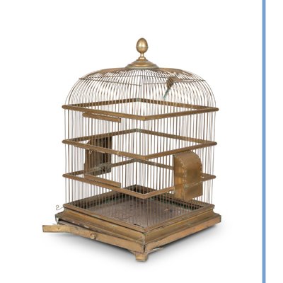 Cage à perroquet en laiton doré, XIXe