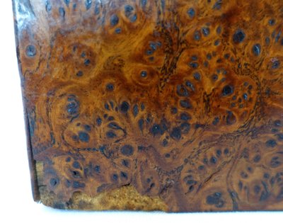 Empire period burr and brass case monogrammed JE or EJ