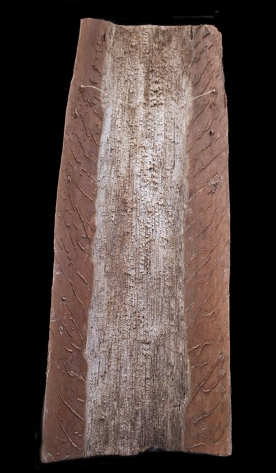 Bemalte Rinde, Ozeanische Kunst, Frühe Kunst, Stammeskunst, Gemälde, Ozeanien, Pazifik, 69 cm