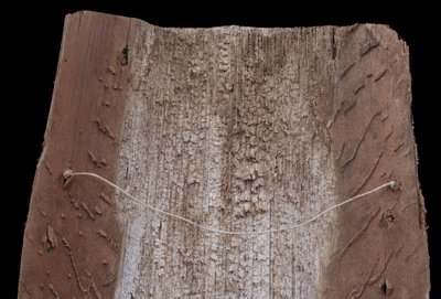 Bemalte Rinde, Ozeanische Kunst, Frühe Kunst, Stammeskunst, Gemälde, Ozeanien, Pazifik, 69 cm