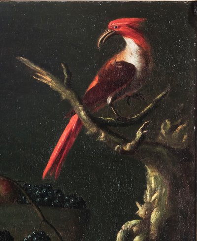 Carlo Antonio Crespi, "Stilleben mit Obst, einer Amphore und einem Papagei".