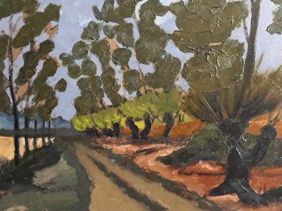Tree-lined country road