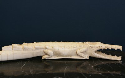Coccodrillo in avorio XIX secolo