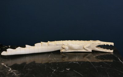 Coccodrillo in avorio XIX secolo