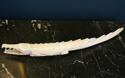 Coccodrillo in avorio XIX secolo