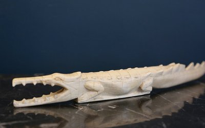 Coccodrillo in avorio XIX secolo