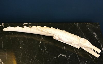 Coccodrillo in avorio XIX secolo