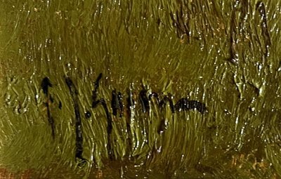 HST painting "Landscape with white ducks" signed + frame