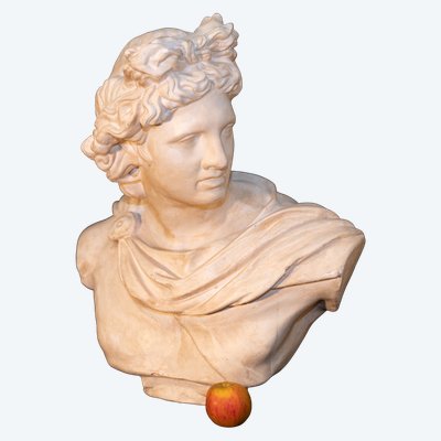 Importantissimo busto di Apollo dal Belvedere
